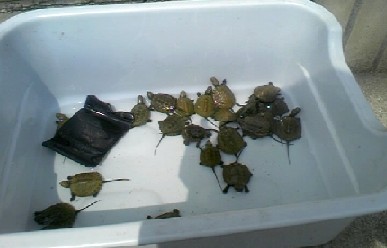 �O���[�v�P