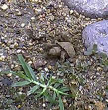 ���悢��o�܂�