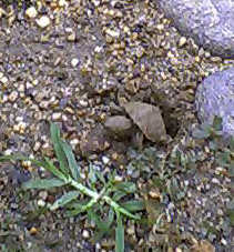 �悢����悢����