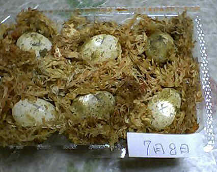 �U�Y�݂܂���