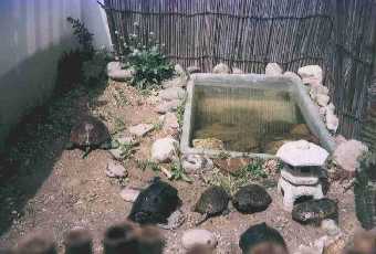 �V���͈ߑ��P�[�X�i�c��70x45cm�@�[��28cm�j