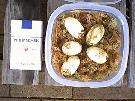 ���ۂ̏�̂T�̂��܂�