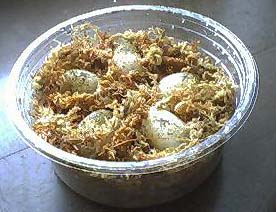 �܂��T�ł�