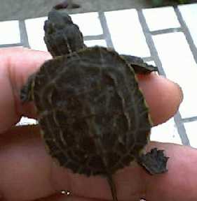 �E���L���E�ł�