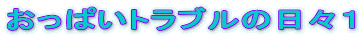 ςgu̓XP