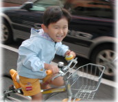 ]ԂȂɑ悤ɂȂ