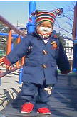 ݂̒苴Cɓ