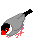 ŵhx