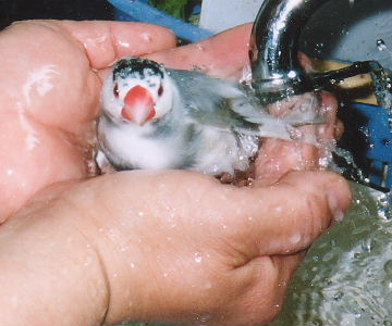 「ちょっと、水が少ないんじゃないの!」