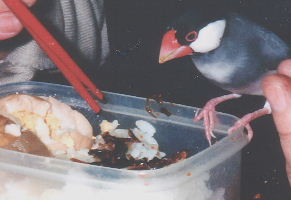 「俺にも食わせろ!」