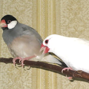 nTȂ̂ɃXɂ̓eȂsvcȕł܂B