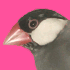愛を貫くアイちゃん