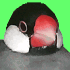 文鳥サーフィンの天才イブブ