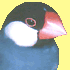 DS̉Z[