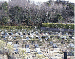 芝生墓地