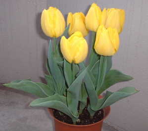 ���ɊJ�ԁI