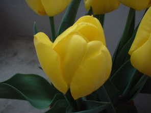 �����ȉ��F�ł��B