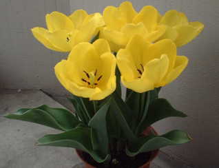 �Ԃт炪�J���ƁD�D�D