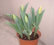 ��͏������ł�