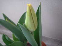 ���F���Q