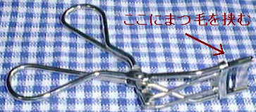 �r���[���[�̎ʐ^