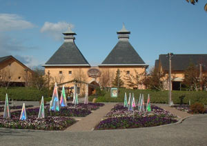 ���͂���Ȋ���