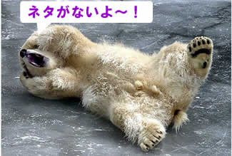 pN摜