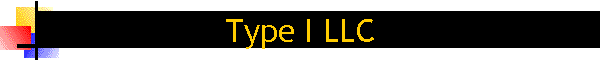 タイプI LLC