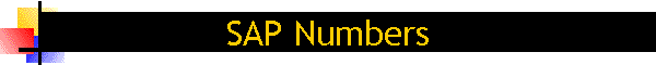 SAP �ԍ�