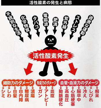 活性酸素の発生と病態