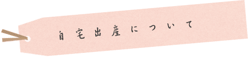 初期〜出産までの流れ