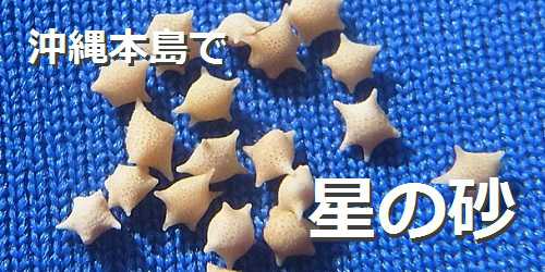 沖縄本島で星の砂