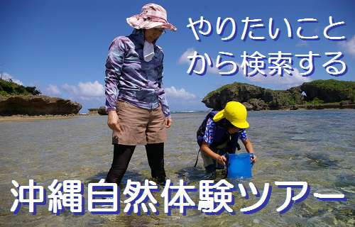 沖縄自然ツアー