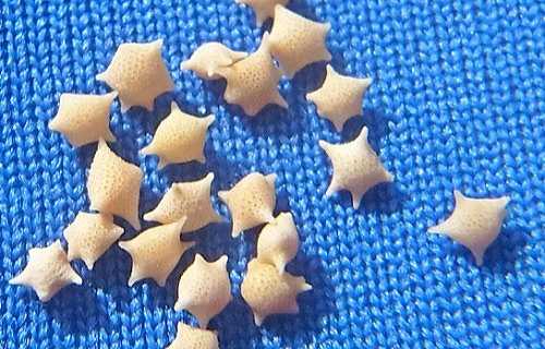 沖縄ビーチで子供と星の砂あつめ