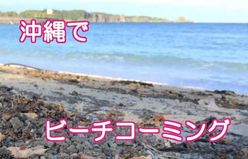 沖縄ビーチコーミング
