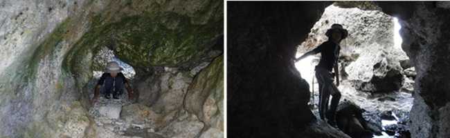 �����T��