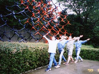 ̋ԍ\