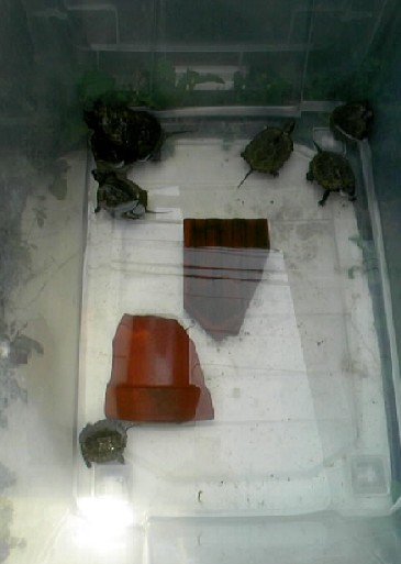 �O���[�v�Q