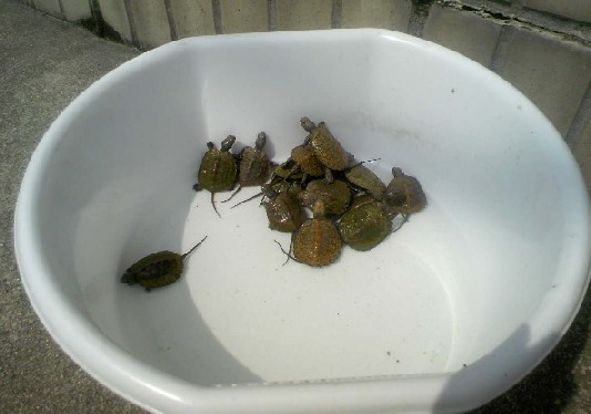 �O���[�v�R