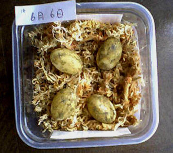 �S�Y�݂܂���