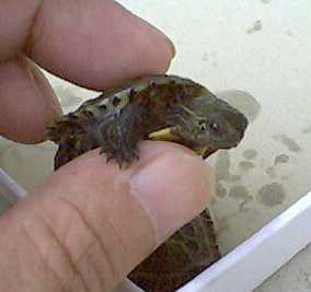 �E���L���E�ł�