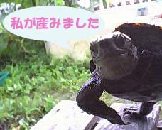 ���˂������ł�